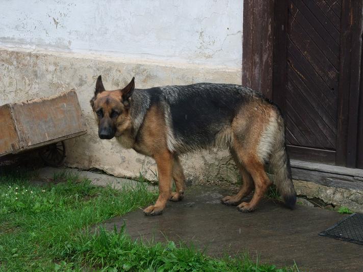 09 na chalupě s holkama